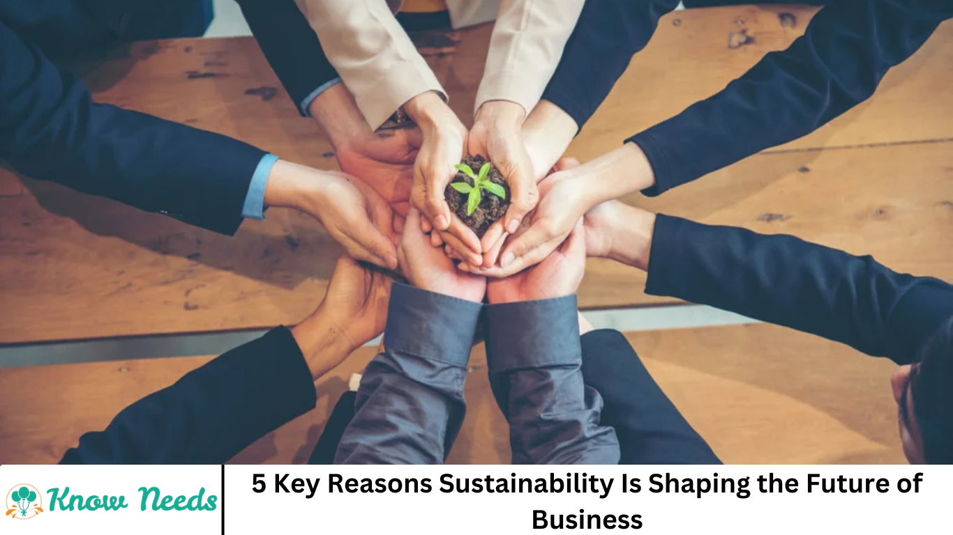 5 Key Reasons Sustainability Is Shaping the Future of Business